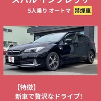画像239