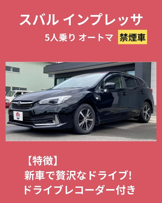 画像239