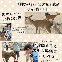 画像288