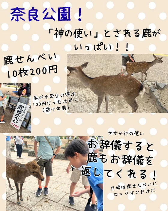 画像288