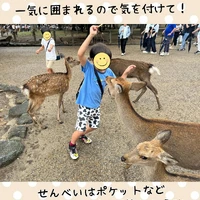 画像289