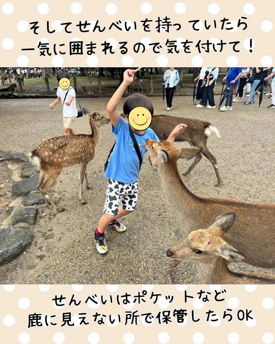 画像289