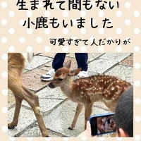 画像290