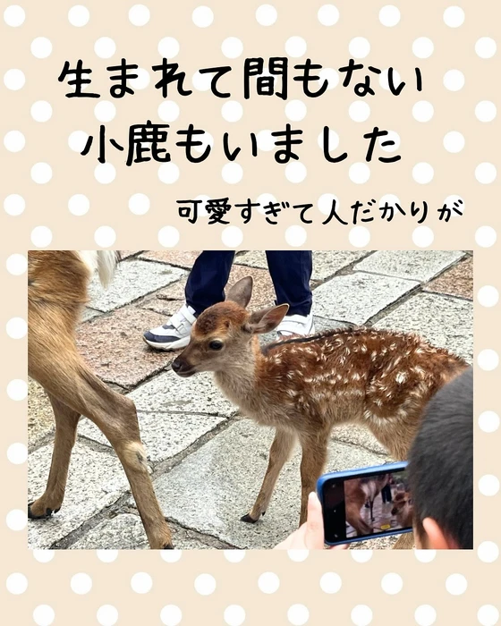 画像290