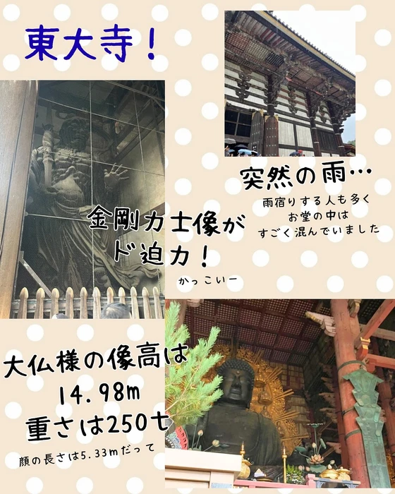 画像291