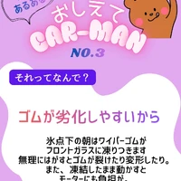 画像384