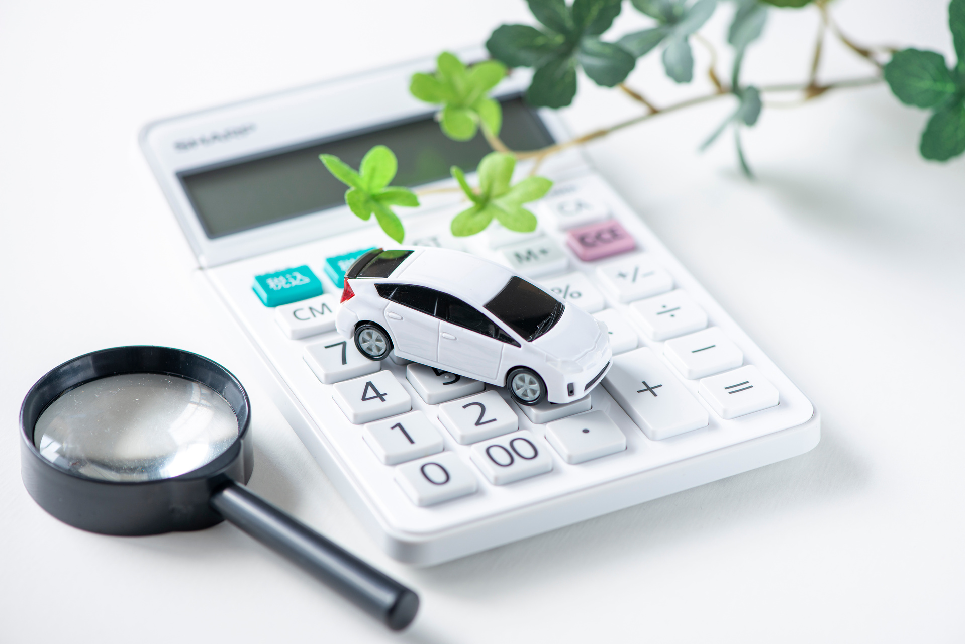 福井市 | 車買取